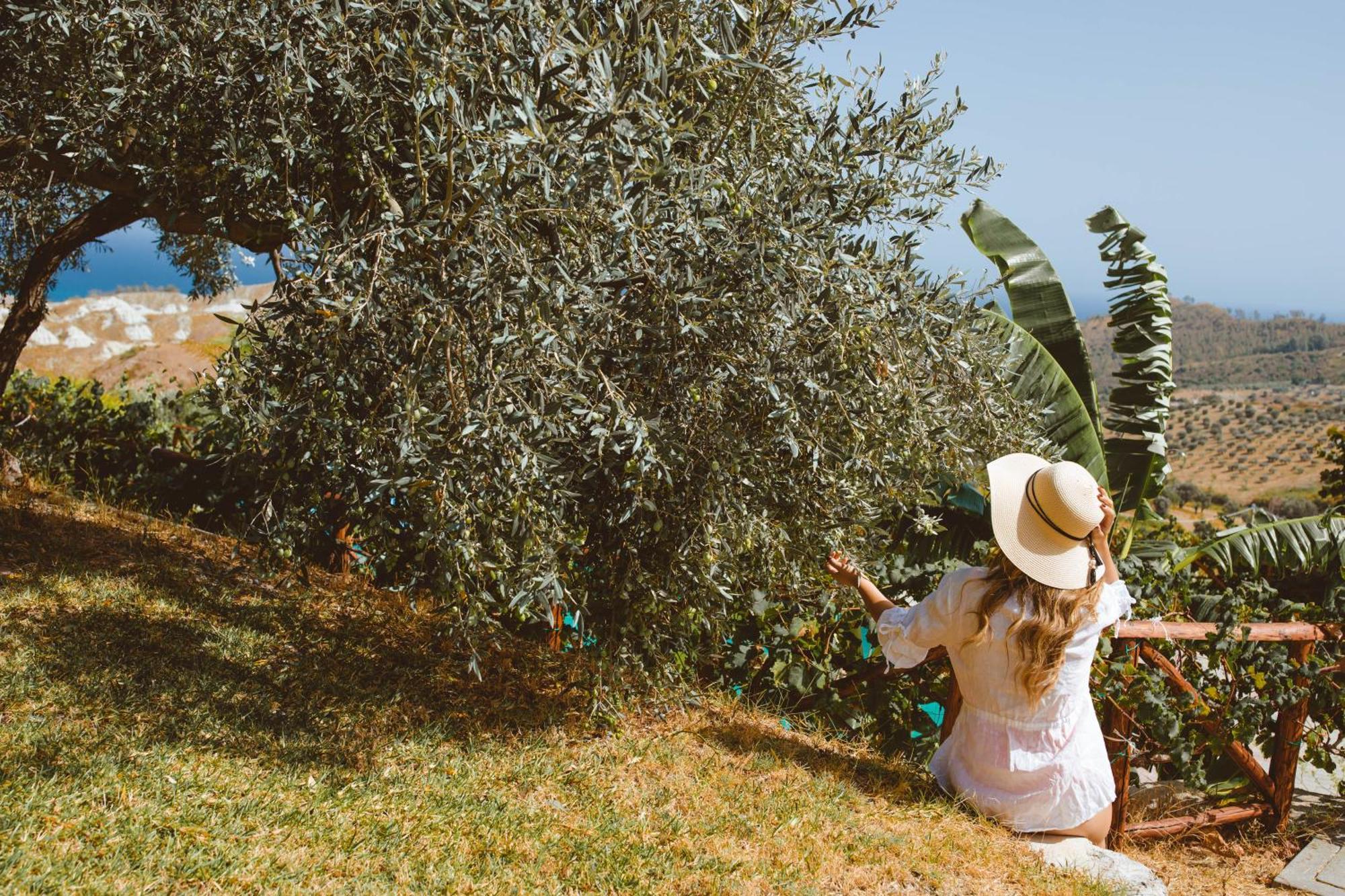 Calami - Villa Romeo - Private Apartments With Pool, Seaview & Olive Grove Santa Caterina Dello Ionio Marina Екстер'єр фото