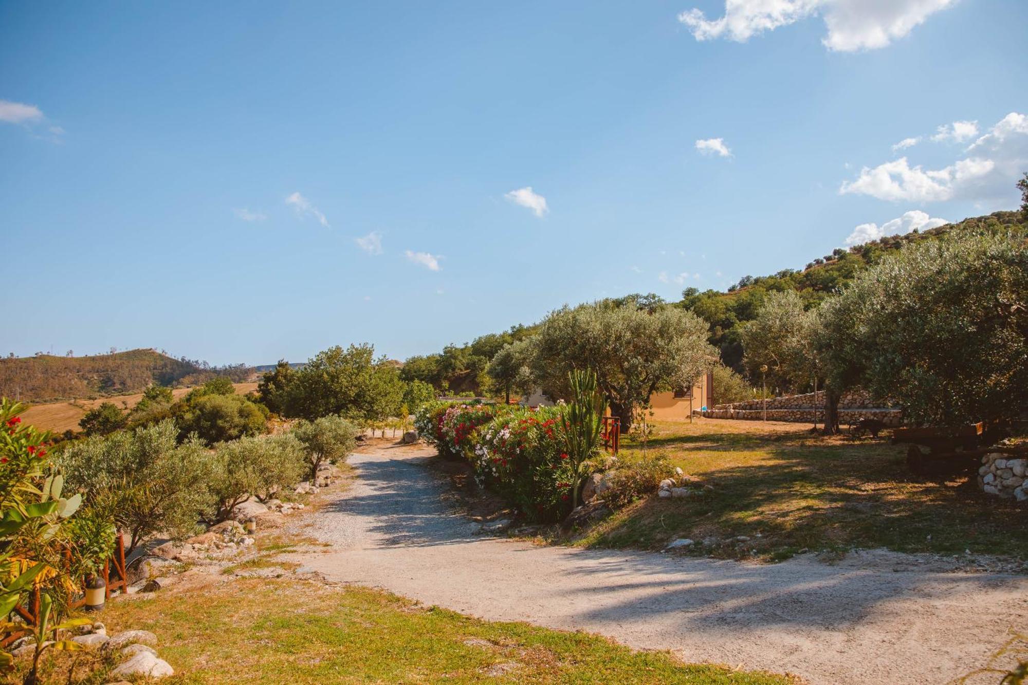 Calami - Villa Romeo - Private Apartments With Pool, Seaview & Olive Grove Santa Caterina Dello Ionio Marina Екстер'єр фото
