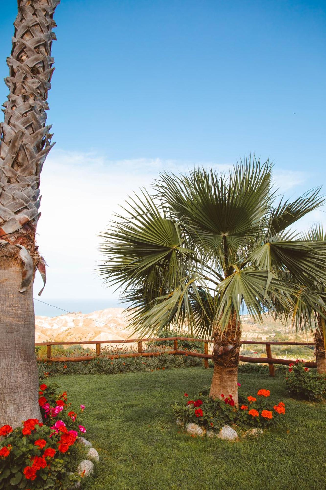 Calami - Villa Romeo - Private Apartments With Pool, Seaview & Olive Grove Santa Caterina Dello Ionio Marina Екстер'єр фото